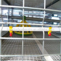 Conception de hangar à volailles automatique de qualité super qualité